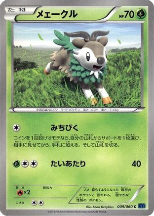 Skiddo (009/060) - XYBx Collection X 1st Edition XY-Bx: Collection X Pokemon Japanese Single  Squirtle Squad Card Shop.