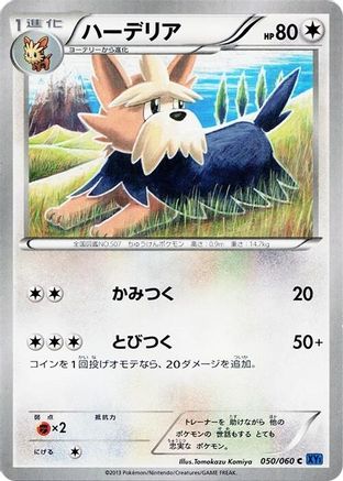 Herdier (050/060) - XYBx Collection X Unlimited XY-Bx: Collection X Pokemon Japanese Single  Squirtle Squad Card Shop.