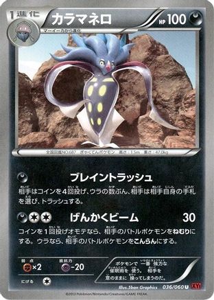 Malamar (036/060) - XYBy Collection Y Unlimited XY-By: Collection Y Pokemon Japanese Single  Squirtle Squad Card Shop.