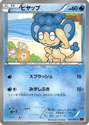 Panpour (019/060) - XYBy Collection Y Unlimited XY-By: Collection Y Pokemon Japanese Single  Squirtle Squad Card Shop.