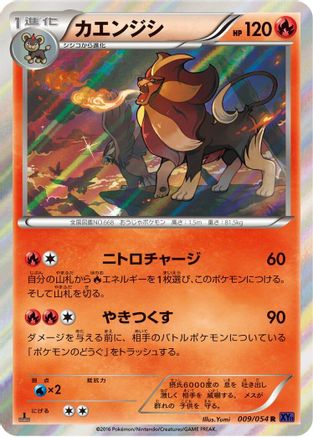 Pyroar (009/054) - XY11Bb FeverBurst Fighter 1st Edition Holofoil XY11-Bb: Fever-Burst Fighter Pokemon Japanese Single  Squirtle Squad Card Shop.