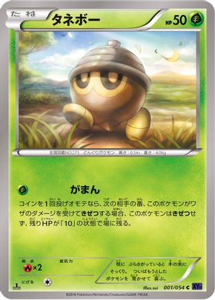 Seedot (001/054) - XY11Bb FeverBurst Fighter Unlimited XY11-Bb: Fever-Burst Fighter Pokemon Japanese Single  Squirtle Squad Card Shop.