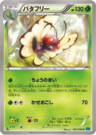 Butterfree (003/080) - XY2 Wild Blaze 1st Edition XY2: Wild Blaze Pokemon Japanese Single  Squirtle Squad Card Shop.