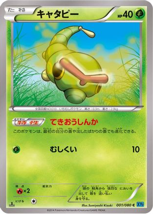 Caterpie (001/080) - XY2 Wild Blaze Unlimited XY2: Wild Blaze Pokemon Japanese Single  Squirtle Squad Card Shop.