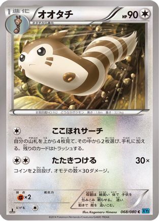 Furret (068/080) - XY2 Wild Blaze 1st Edition XY2: Wild Blaze Pokemon Japanese Single  Squirtle Squad Card Shop.