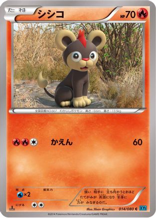 Litleo (014/080) - XY2 Wild Blaze Unlimited XY2: Wild Blaze Pokemon Japanese Single  Squirtle Squad Card Shop.