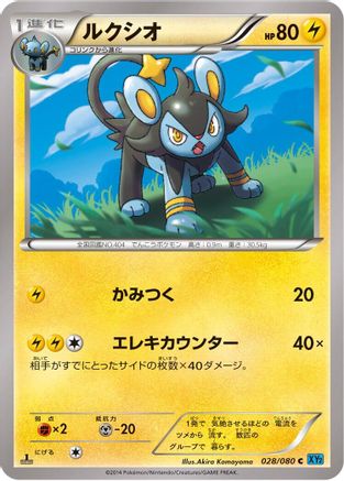 Luxio (028/080) - XY2 Wild Blaze Unlimited XY2: Wild Blaze Pokemon Japanese Single  Squirtle Squad Card Shop.