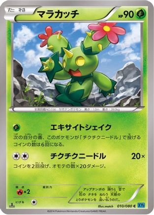 Maractus (010/080) - XY2 Wild Blaze Unlimited XY2: Wild Blaze Pokemon Japanese Single  Squirtle Squad Card Shop.