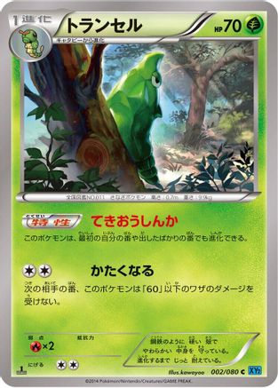 Metapod (002/080) - XY2 Wild Blaze 1st Edition XY2: Wild Blaze Pokemon Japanese Single  Squirtle Squad Card Shop.