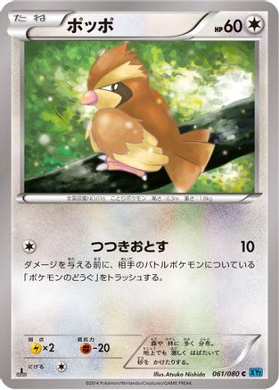 Pidgey (061/080) - XY2 Wild Blaze 1st Edition XY2: Wild Blaze Pokemon Japanese Single  Squirtle Squad Card Shop.