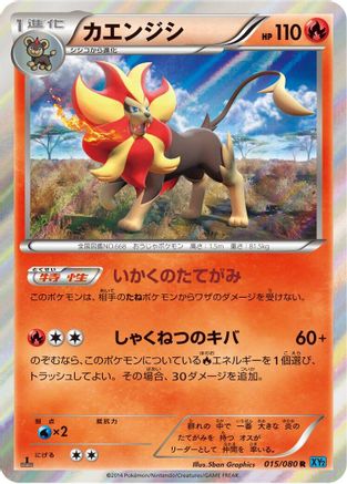 Pyroar (015/080) - XY2 Wild Blaze 1st Edition Holofoil XY2: Wild Blaze Pokemon Japanese Single  Squirtle Squad Card Shop.
