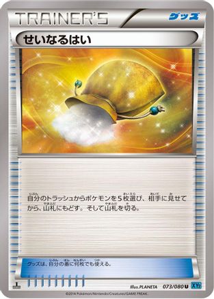 Sacred Ash (073/080) - XY2 Wild Blaze 1st Edition XY2: Wild Blaze Pokemon Japanese Single  Squirtle Squad Card Shop.