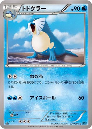 Sealeo (020/080) - XY2 Wild Blaze 1st Edition XY2: Wild Blaze Pokemon Japanese Single  Squirtle Squad Card Shop.