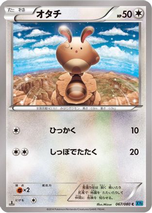 Sentret (067/080) - XY2 Wild Blaze 1st Edition XY2: Wild Blaze Pokemon Japanese Single  Squirtle Squad Card Shop.