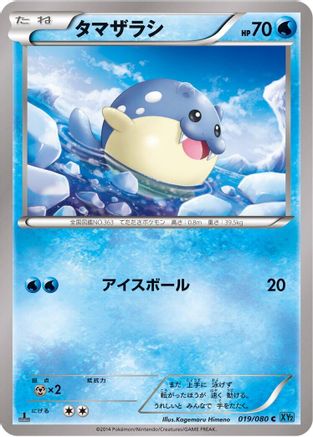 Spheal (019/080) - XY2 Wild Blaze 1st Edition XY2: Wild Blaze Pokemon Japanese Single  Squirtle Squad Card Shop.