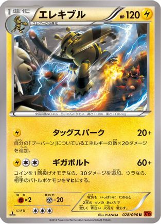 Electivire (028/096) - XY3 Rising Fist Unlimited XY3: Rising Fist Pokemon Japanese Single  Squirtle Squad Card Shop.