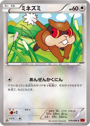 Patrat (079/096) - XY3 Rising Fist Unlimited XY3: Rising Fist Pokemon Japanese Single  Squirtle Squad Card Shop.