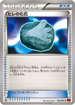 Sail Fossil (086/096) - XY3 Rising Fist 1st Edition XY3: Rising Fist Pokemon Japanese Single  Squirtle Squad Card Shop.