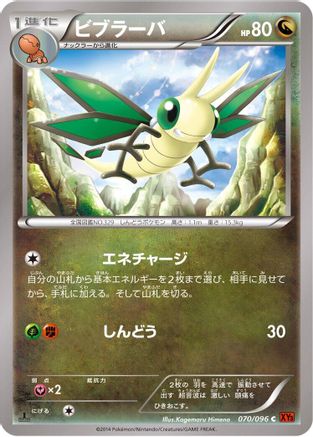 Vibrava (070/096) - XY3 Rising Fist 1st Edition XY3: Rising Fist Pokemon Japanese Single  Squirtle Squad Card Shop.