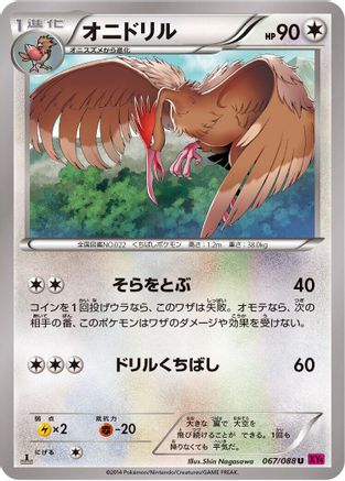 Fearow (067/088) - XY4 Phantom Gate 1st Edition XY4: Phantom Gate Pokemon Japanese Single  Squirtle Squad Card Shop.