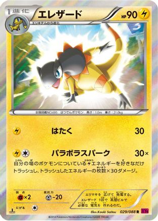 Heliolisk (029/088) - XY4 Phantom Gate 1st Edition Holofoil XY4: Phantom Gate Pokemon Japanese Single  Squirtle Squad Card Shop.
