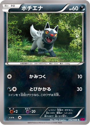 Poochyena (052/088) - XY4 Phantom Gate 1st Edition XY4: Phantom Gate Pokemon Japanese Single  Squirtle Squad Card Shop.