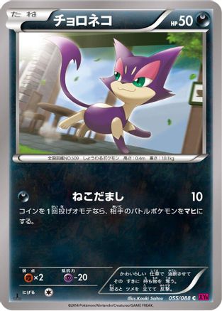 Purrloin (055/088) - XY4 Phantom Gate 1st Edition XY4: Phantom Gate Pokemon Japanese Single  Squirtle Squad Card Shop.