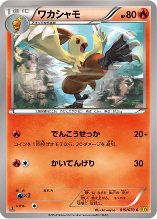 Combusken (019/070) - XY5Bg Gaia Volcano 1st Edition XY5-Bg: Gaia Volcano Pokemon Japanese Single  Squirtle Squad Card Shop.
