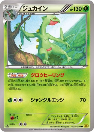 Sceptile - 005/070 (005/070) - XY5Bg Gaia Volcano Unlimited XY5-Bg: Gaia Volcano Pokemon Japanese Single  Squirtle Squad Card Shop.