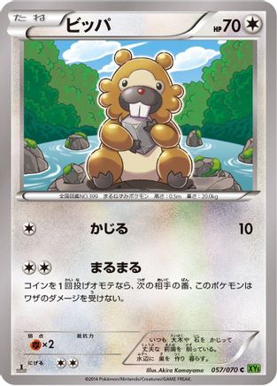 Bidoof - 057/070 (057/070) - XY5Bt Tidal Storm Unlimited XY5-Bt: Tidal Storm Pokemon Japanese Single  Squirtle Squad Card Shop.