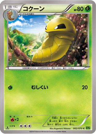 Kakuna (002/070) - XY5Bt Tidal Storm 1st Edition XY5-Bt: Tidal Storm Pokemon Japanese Single  Squirtle Squad Card Shop.