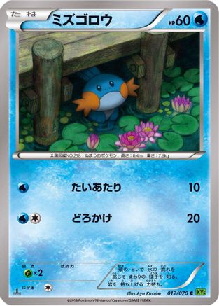 Mudkip (012/070) - XY5Bt Tidal Storm 1st Edition XY5-Bt: Tidal Storm Pokemon Japanese Single  Squirtle Squad Card Shop.