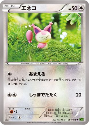 Skitty (054/070) - XY5Bt Tidal Storm 1st Edition XY5-Bt: Tidal Storm Pokemon Japanese Single  Squirtle Squad Card Shop.