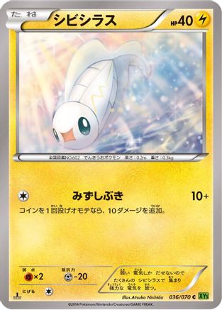 Tynamo (036/070) - XY5Bt Tidal Storm Unlimited XY5-Bt: Tidal Storm Pokemon Japanese Single  Squirtle Squad Card Shop.