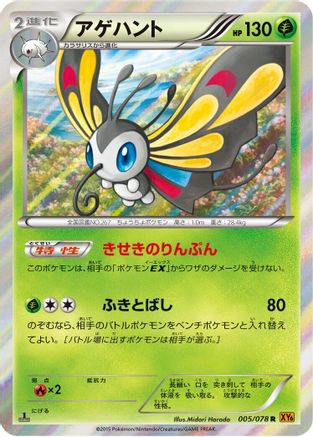 Beautifly (005/078) - XY6 Emerald Break 1st Edition Holofoil XY6: Emerald Break Pokemon Japanese Single  Squirtle Squad Card Shop.