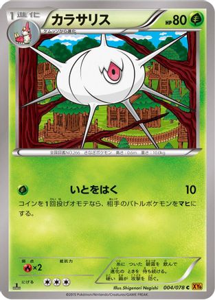 Silcoon (004/078) - XY6 Emerald Break Unlimited XY6: Emerald Break Pokemon Japanese Single  Squirtle Squad Card Shop.