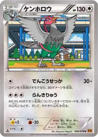 Unfezant - 066/078 (066/078) - XY6 Emerald Break 1st Edition XY6: Emerald Break Pokemon Japanese Single  Squirtle Squad Card Shop.