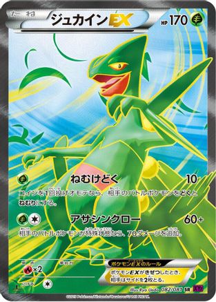 Sceptile EX - 082/081 (082/081) - XY7 Bandit Ring 1st Edition Holofoil XY7: Bandit Ring Pokemon Japanese Single  Squirtle Squad Card Shop.