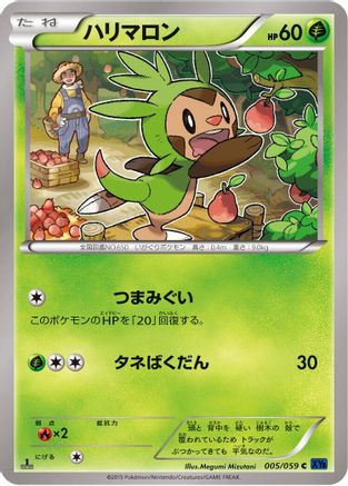 Chespin (005/059) - XY8Bb Blue Shock 1st Edition XY8-Bb: Blue Shock Pokemon Japanese Single  Squirtle Squad Card Shop.