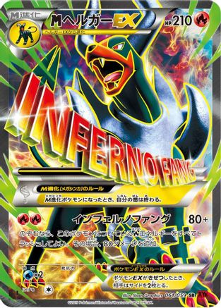 Houndoom - 061/059 (061/059) - XY8Br Red Flash 1st Edition Holofoil XY8-Br: Red Flash Pokemon Japanese Single  Squirtle Squad Card Shop.