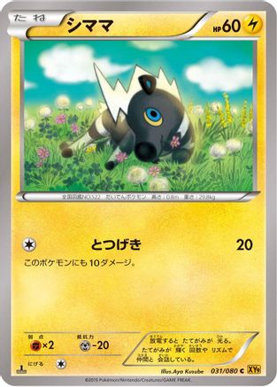 Blitzle (031/080) - XY9 Rage of the Broken Heavens 1st Edition XY9: Rage of the Broken Heavens Pokemon Japanese Single  Squirtle Squad Card Shop.