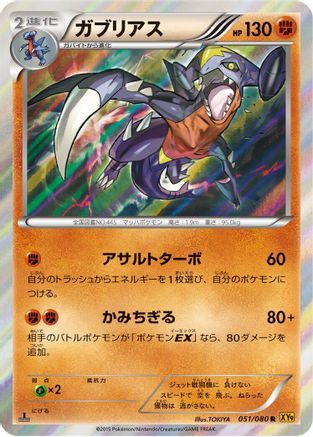 Garchomp (051/080) - XY9 Rage of the Broken Heavens Unlimited Holofoil XY9: Rage of the Broken Heavens Pokemon Japanese Single  Squirtle Squad Card Shop.