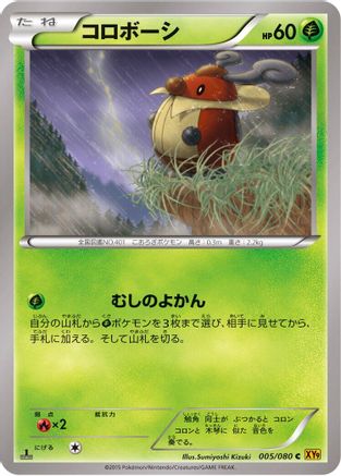 Kricketot (005/080) - XY9 Rage of the Broken Heavens Unlimited XY9: Rage of the Broken Heavens Pokemon Japanese Single  Squirtle Squad Card Shop.