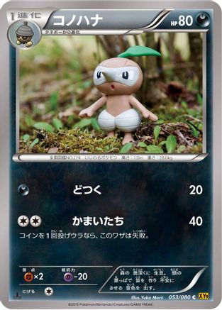 Nuzleaf (053/080) - XY9 Rage of the Broken Heavens Unlimited XY9: Rage of the Broken Heavens Pokemon Japanese Single  Squirtle Squad Card Shop.