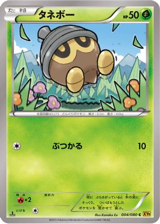 Seedot (004/080) - XY9 Rage of the Broken Heavens 1st Edition XY9: Rage of the Broken Heavens Pokemon Japanese Single  Squirtle Squad Card Shop.