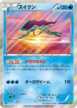 Suicune (020/080) - XY9 Rage of the Broken Heavens 1st Edition Holofoil XY9: Rage of the Broken Heavens Pokemon Japanese Single  Squirtle Squad Card Shop.