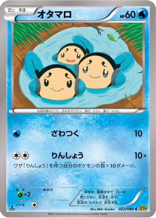 Tympole (022/080) - XY9 Rage of the Broken Heavens Unlimited XY9: Rage of the Broken Heavens Pokemon Japanese Single  Squirtle Squad Card Shop.