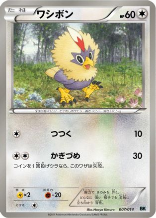 Rufflet (007/014) - BK Cobalion Battle Strength Deck BK: Cobalion Battle Strength Deck Pokemon Japanese Single  Squirtle Squad Card Shop.