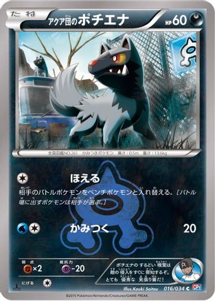 Team Aqua's Poochyena (016/034) - CP1 Magma Gang vs Aqua Gang Double Crisis 1st Edition CP1: Magma Gang vs Aqua Gang: Double Crisis Pokemon Japanese Single  Squirtle Squad Card Shop.