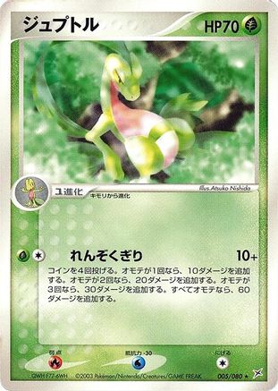 Grovyle (005/080) - Magma VS Aqua Two Ambitions 1st Edition Magma VS Aqua: Two Ambitions Pokemon Japanese Single  Squirtle Squad Card Shop.